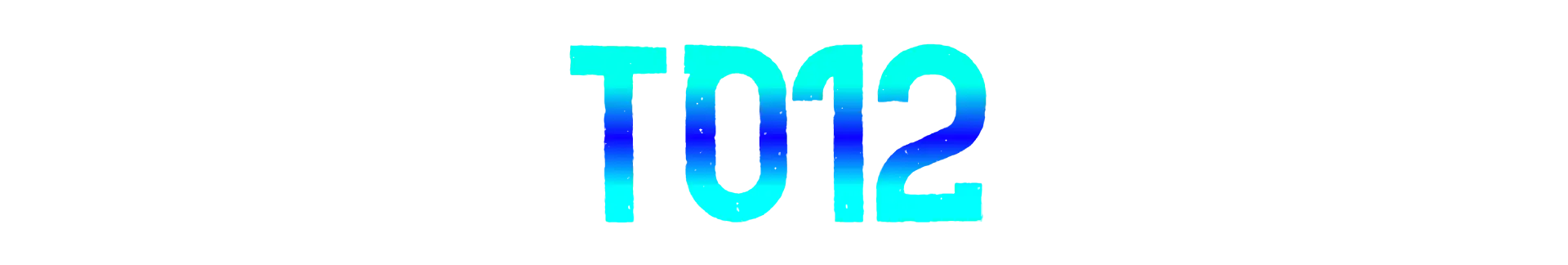 TO12